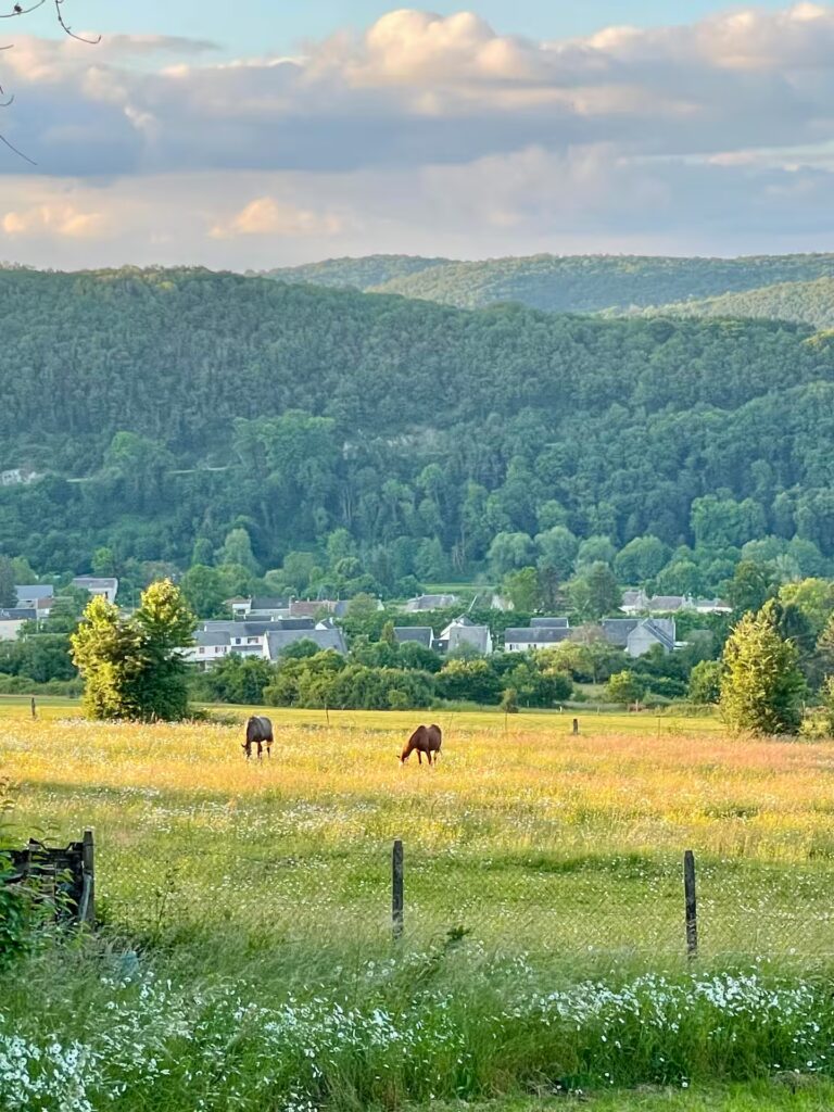 Jardin, formation dirigeant à Reims Leaders Éveillés